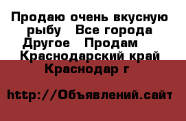 Продаю очень вкусную рыбу - Все города Другое » Продам   . Краснодарский край,Краснодар г.